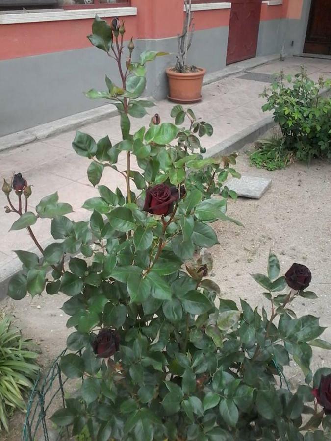 Perbacco Sartirana Lomellina Exterior foto